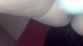 Rafayblanca Margarita González Victorio todos ahí metiendo un bowl de azúcar, es mi perra hace lo que digo