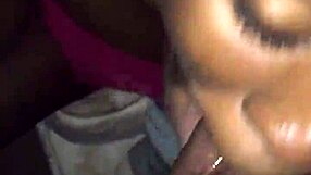 sucking dick