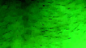 Causal Sex With Big Black Cock