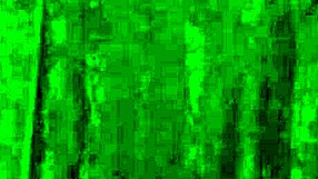 wild curves introduction 😏