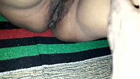 Hightechplace update 56 slim cut soot trim