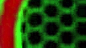 Lesbian Tongue Fucks Sara Jay Duo