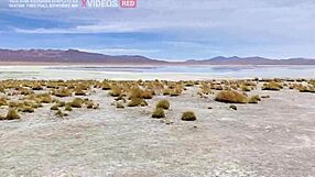 vlog porno na bolivia com sexo explicito em publico - alemaohub 😏