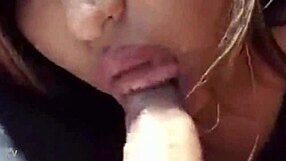 Project 002 Demonstration.