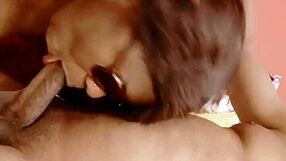 sundaydogood614 update 544 vid 20241016 173835 oct 16 2024