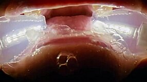 Deranged filth loving girl rebel rhyder gets frozen cum bukkake - filmed with probe lens