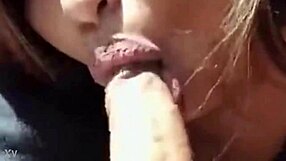 Project 002 Demonstration.