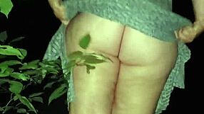 Did you see that sneaky outside creampie ending?