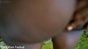 stretching that african pussy with my dick outdoor?