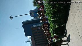 What is in this amateur video?