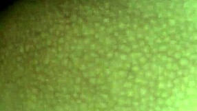 Big tits babe gets creampied with monster cock bareback