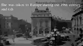 history of big black ass saartjie baartman