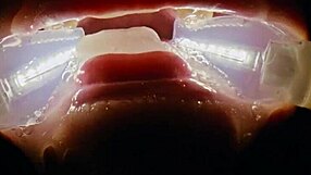 Deranged filth loving girl rebel rhyder gets frozen cum bukkake - filmed with probe lens