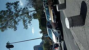 What is in this amateur video?