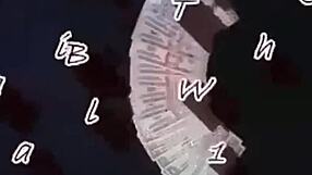 Whoa, can you really swallow this massive dick down in wild anal group fucking?