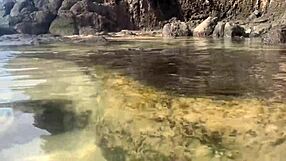 stranger feeds sperm to fish publicly at beach