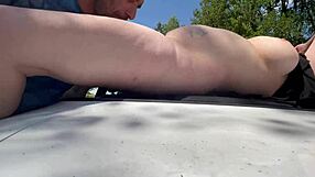 Wickedphoenix - Update 15 - Img 2959 - Jul 14 2024