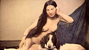 Dark lantern presents beauty and the beast