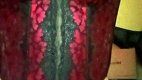 Shirley Bailando Sexy En Corset Rojinegro