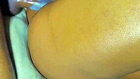 City Boy Penetrating Fat Curvy Exotic Black Woman