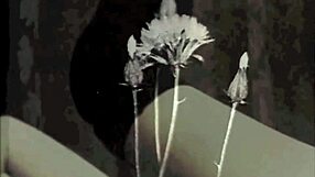 Dark lantern presents beauty and the beast