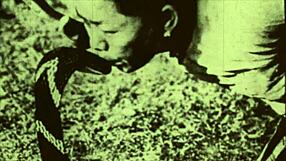 Dark lantern presents beauty and the beast