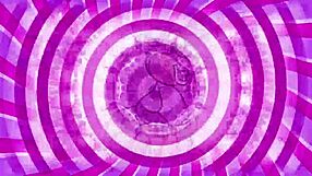 Tribute 101 - Sissy Training - Teaser with Jerk Off Instructions!