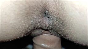 Compilação close-up anal detalhada de amadores e esposas caseiras