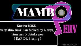 Karina Rose Gangbanged By Four Guys