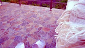 Risky swallow in the backyard with neighbors watching