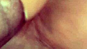 סרטון אימות