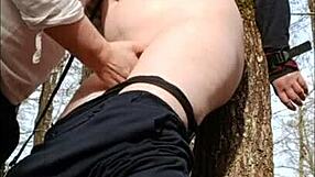 Slave Bound in Forest?