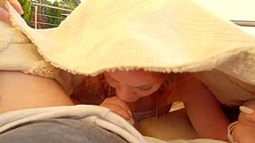 Risky swallow in the backyard with neighbors watching