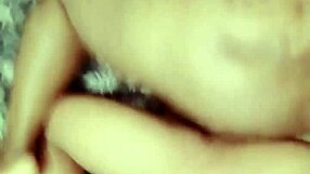 sundaydogood614 update 965 vid 20250412 172025 apr 12 2025