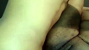 nigarchrist update 1364 petal on june 9 2025