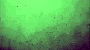 Miamor performs oral sex on ass and pussy despite reluctance to be recorded