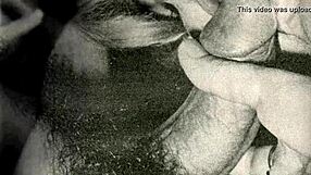 Prezint viața mea secretă din jurnalele secolului 19.