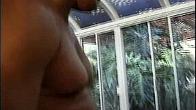 i handle office affairs with shemales daily