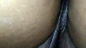 Detailed Perfect Sessions Inertia Experience