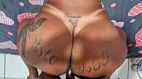 Macetando A Gordinha Do Bairro - Can You Handle Her Curves?