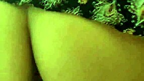 Trio with black and white cocks