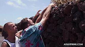 Feeling Excited Sunbathing Among Two Cocks