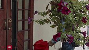 flexible blonde babe loving that ass fucking session.