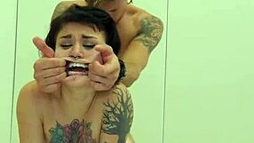 Unusual Kitten Feels Intense Pain in Harsh Anal Asylum Treatment