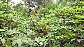 Softkind Fucks Stepmom From Behind In Bush