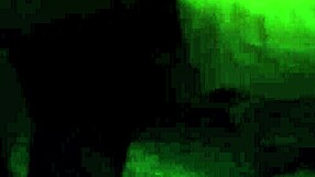 Amateur Ebony Woman Sucking Big Black Dick