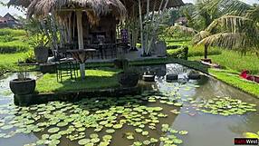 I sneak a public cumshot on my face while eating pasta in the cafe.