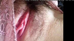 bearded clam tram 2 2