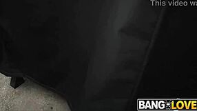 Huge Asses and Tits Fuck Intensely!