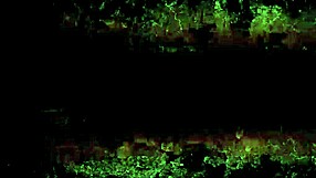 Vintage erotic illustration from antique retro collection